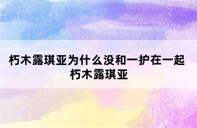 朽木露琪亚为什么没和一护在一起 朽木露琪亚